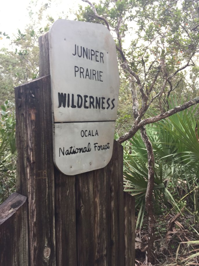 Sign entering Juniper Prairie Wilderness along the Florida Trail in Ocala National Forest